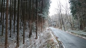 DSC_0116[1]